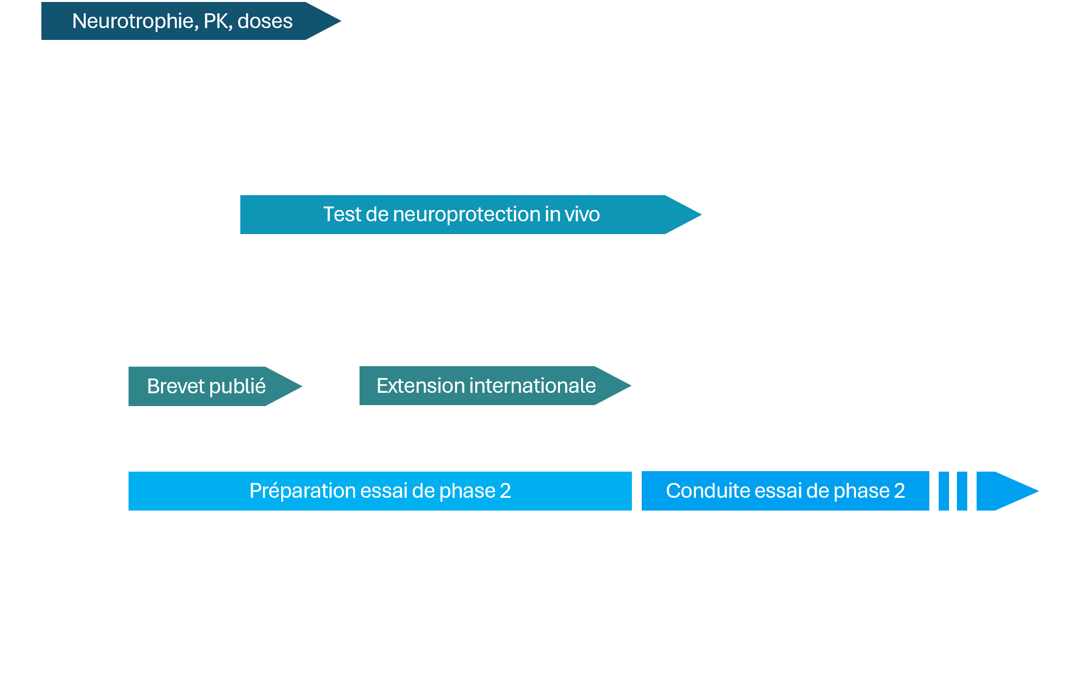 Timing développement CXS003 SAPPIENS